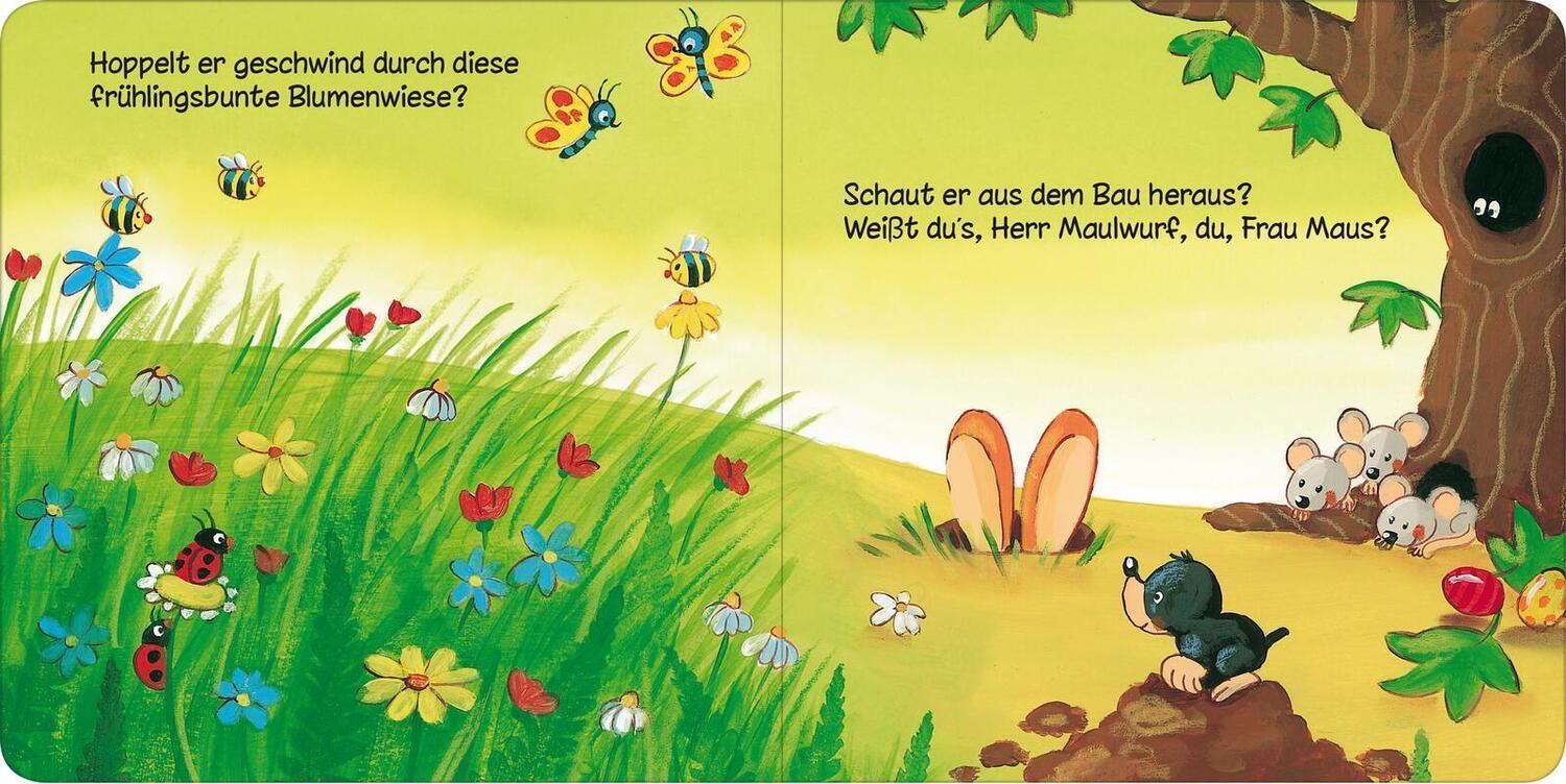 Bild: 9783845851051 | Wo bist du, kleiner Osterhase? | Maria Höck | Buch | Pappebuch | 12 S.