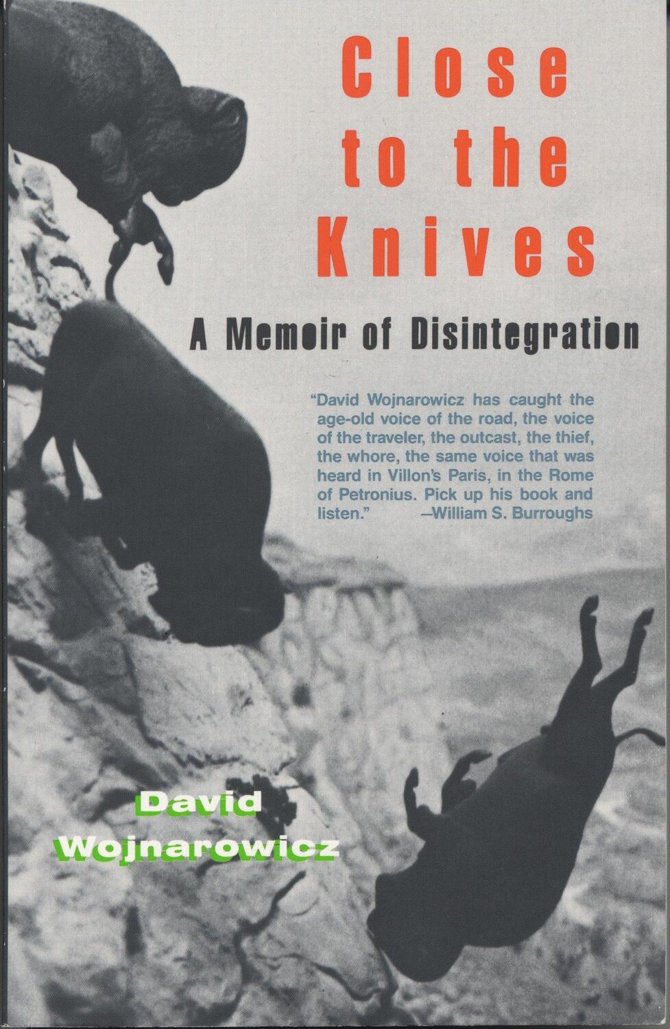 Cover: 9780679732273 | Close to the Knives | A Memoir of Disintegration | David Wojnarowicz