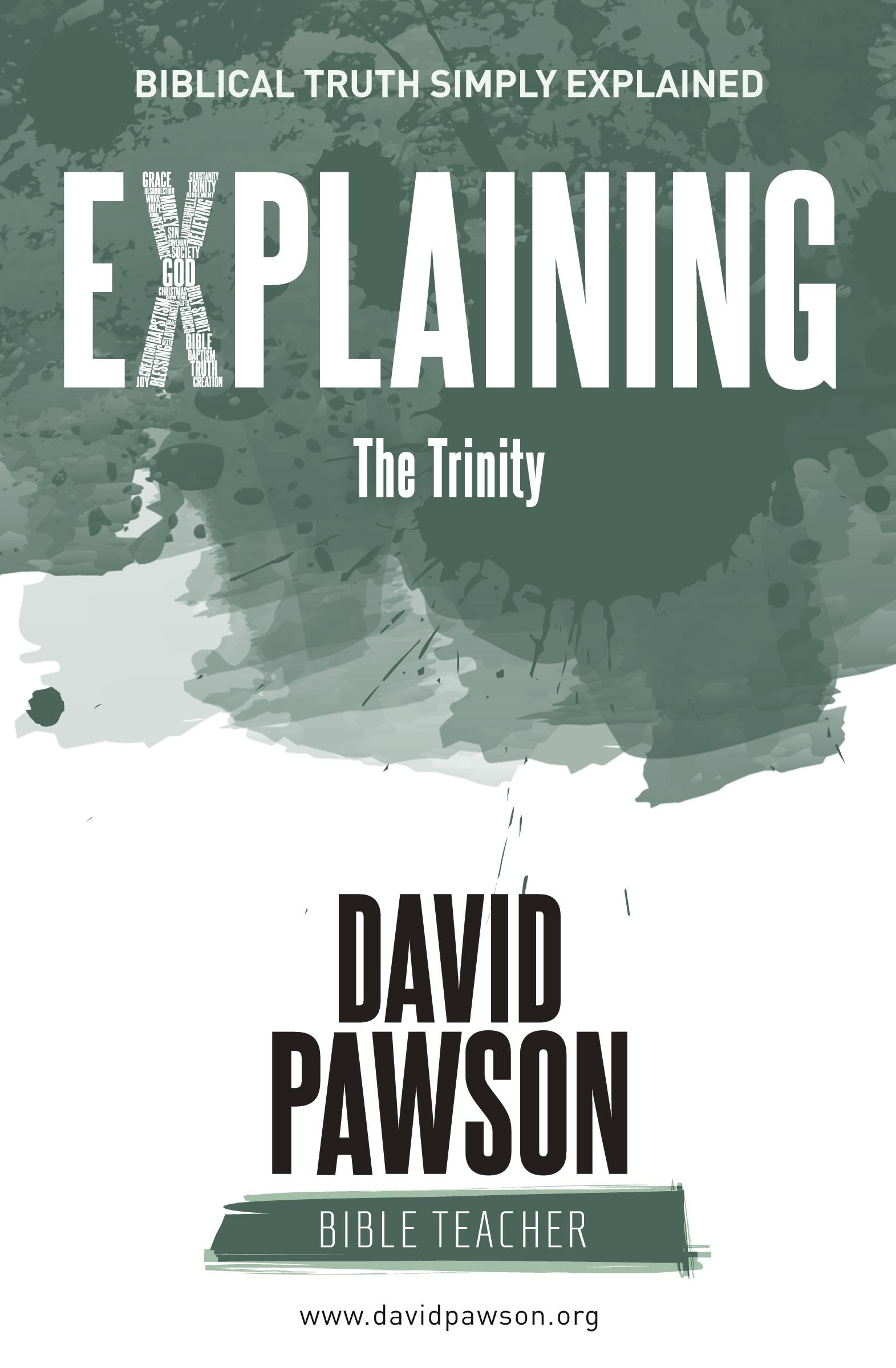 Cover: 9781911173076 | EXPLAINING The Trinity | David Pawson | Taschenbuch | Englisch | 2018