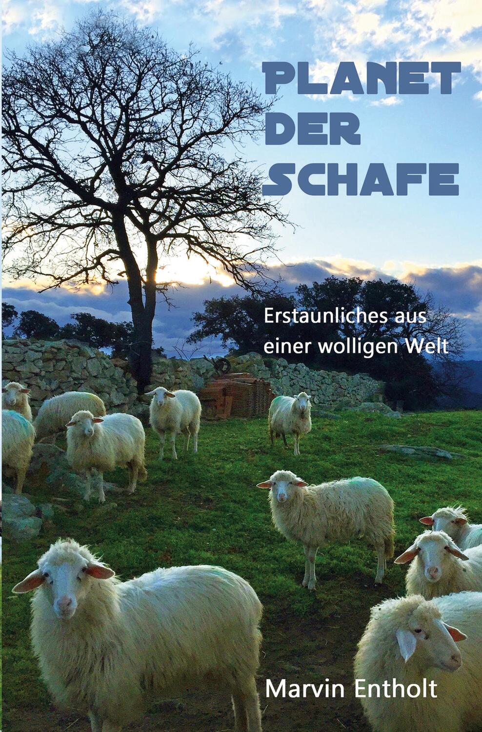 Cover: 9783754682517 | Planet der Schafe | Marvin Entholt | Taschenbuch | Paperback | Deutsch