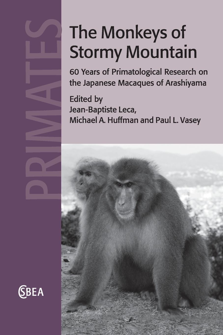 Cover: 9781108823920 | The Monkeys of Stormy Mountain | Paul L. Vasey | Taschenbuch | 2020