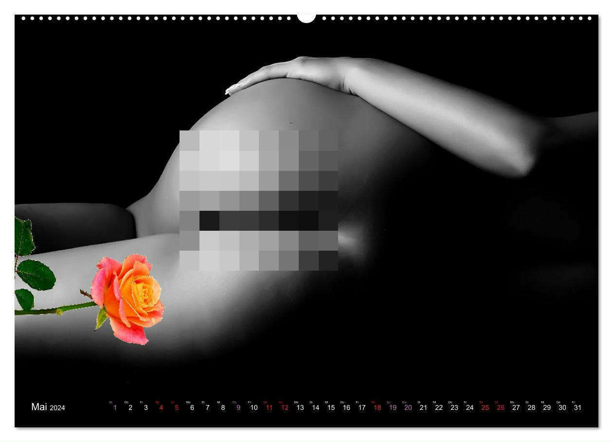 Bild: 9783675821279 | Erotik Art etwas Blumig POMBASTISCH (Wandkalender 2024 DIN A2...