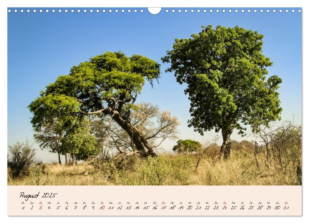 Bild: 9783435032327 | Namibia - Vom Sossusvlei bis zum Etosha Nationalpark (Wandkalender...