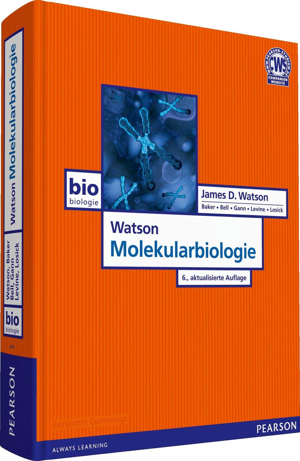 Cover: 9783868940299 | Watson Molekularbiologie | James D. Watson (u. a.) | Buch | 960 S.