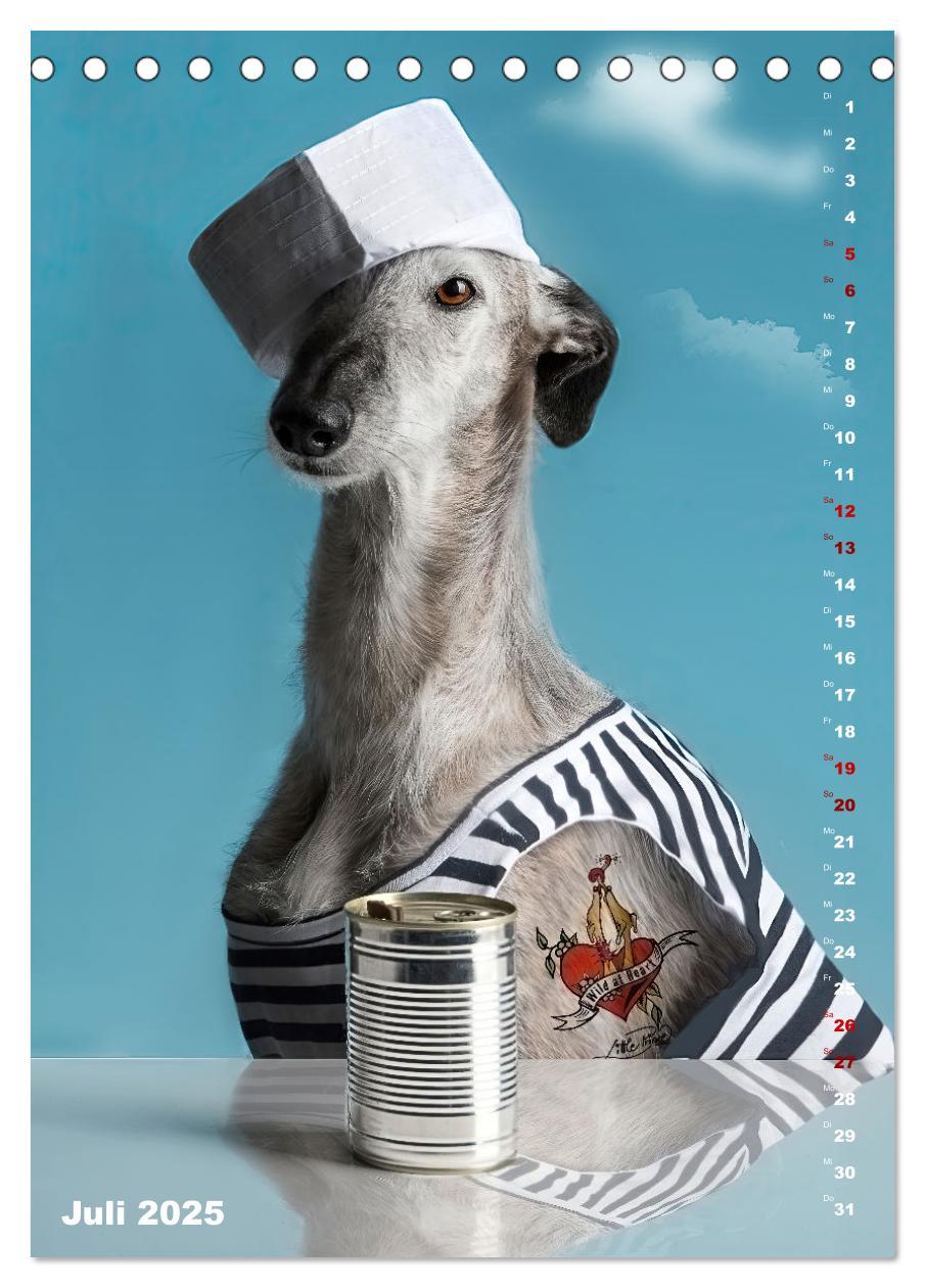 Bild: 9783457230732 | dogmuse deluxe (Tischkalender 2025 DIN A5 hoch), CALVENDO...