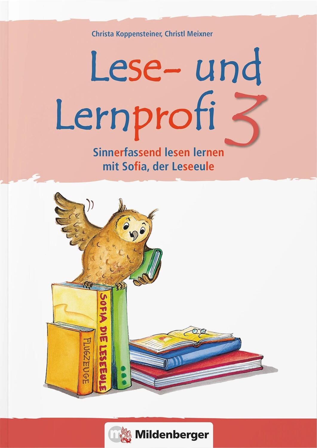 Cover: 9783619346400 | Lese- und Lernprofi 3 NEU - Schülerarbeitsheft - silbierte Ausgabe
