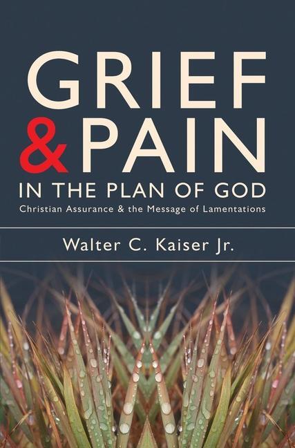 Cover: 9781857929935 | Grief and Pain in the Plan of God | Walter C. Kaiser | Taschenbuch