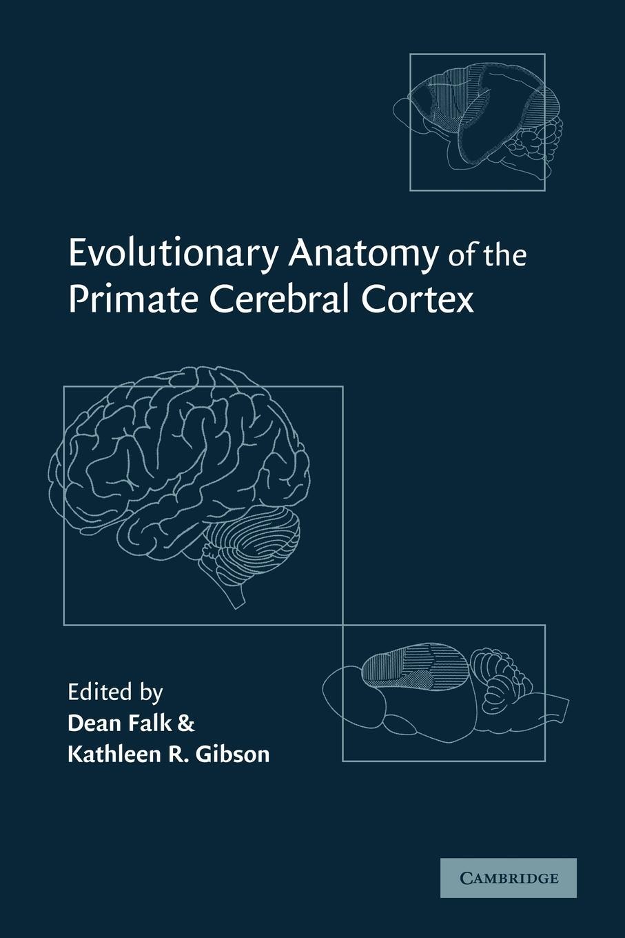 Cover: 9780521089951 | Evolutionary Anatomy of the Primate Cerebral Cortex | Gibson | Buch