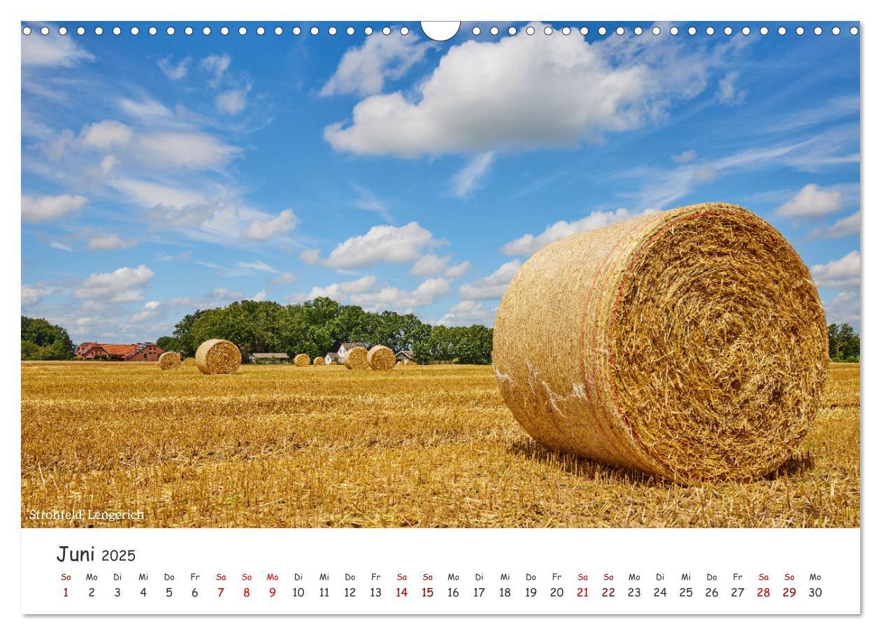 Bild: 9783457228180 | Emsland Impressionen (Wandkalender 2025 DIN A3 quer), CALVENDO...