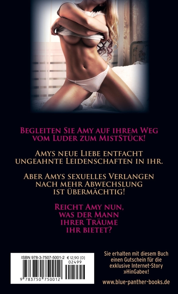 Bild: 9783750750012 | vom Luder zum MistStück Erotischer Roman die Sexabenteuer der Amy...