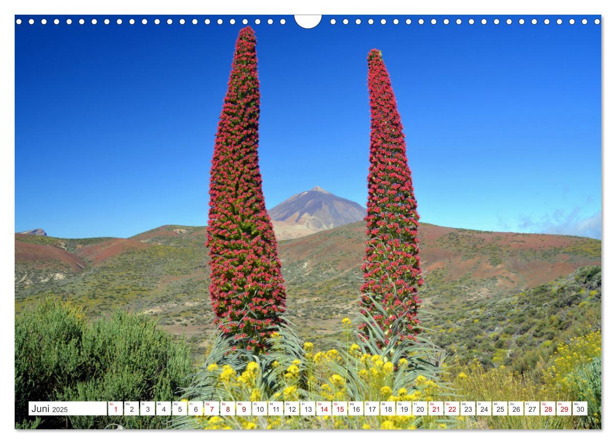 Bild: 9783457222522 | Teneriffa - Insel der Glückseligen (Wandkalender 2025 DIN A3 quer),...