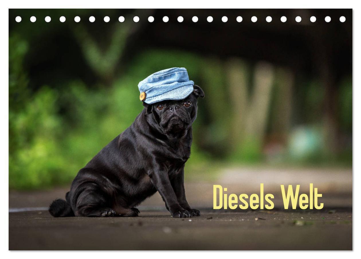 Cover: 9783675568730 | Diesels Welt (Tischkalender 2024 DIN A5 quer), CALVENDO Monatskalender