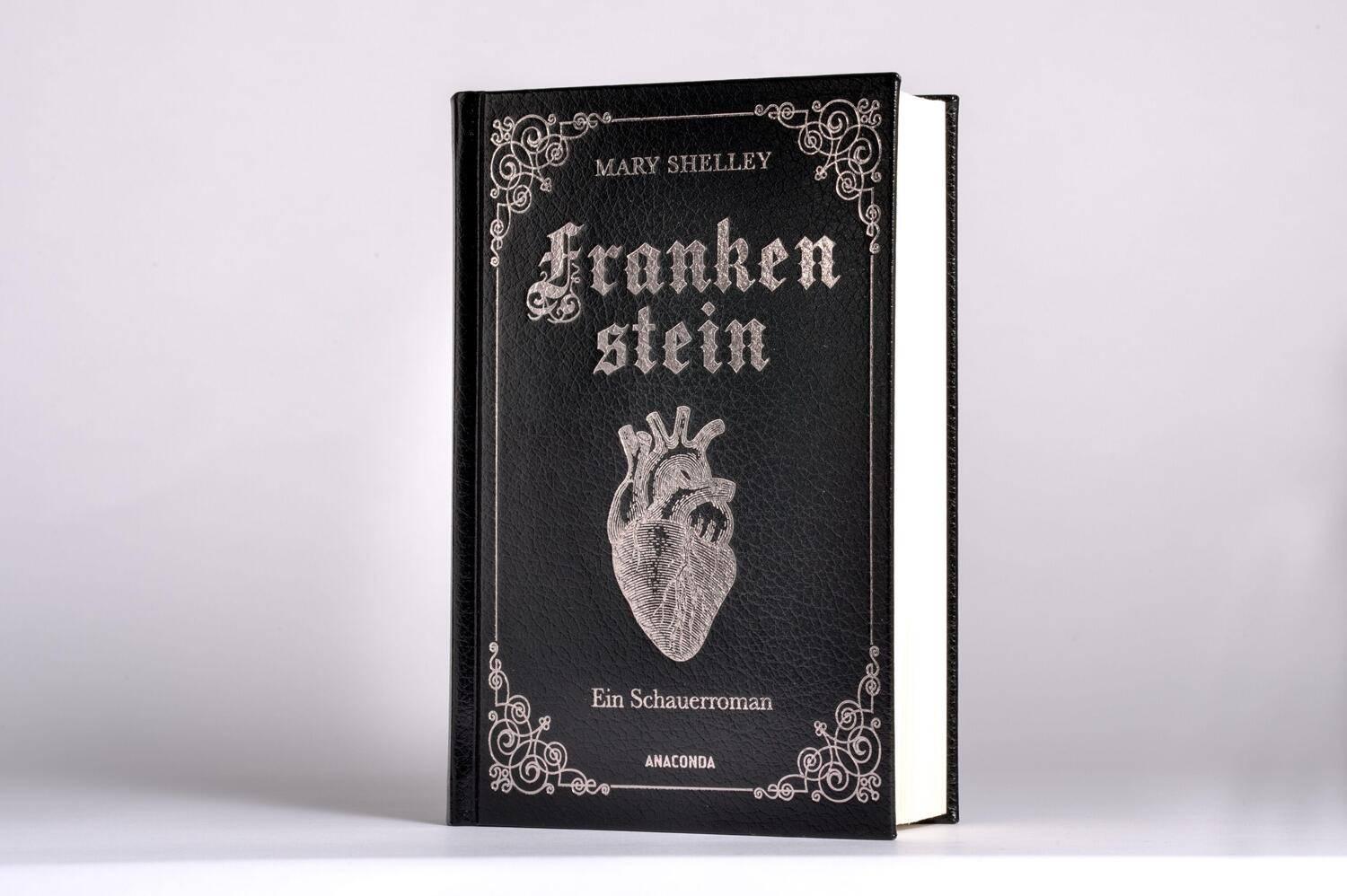 Bild: 9783730613108 | Frankenstein. Ein Schauerroman | Mary Shelley | Buch | 304 S. | 2023