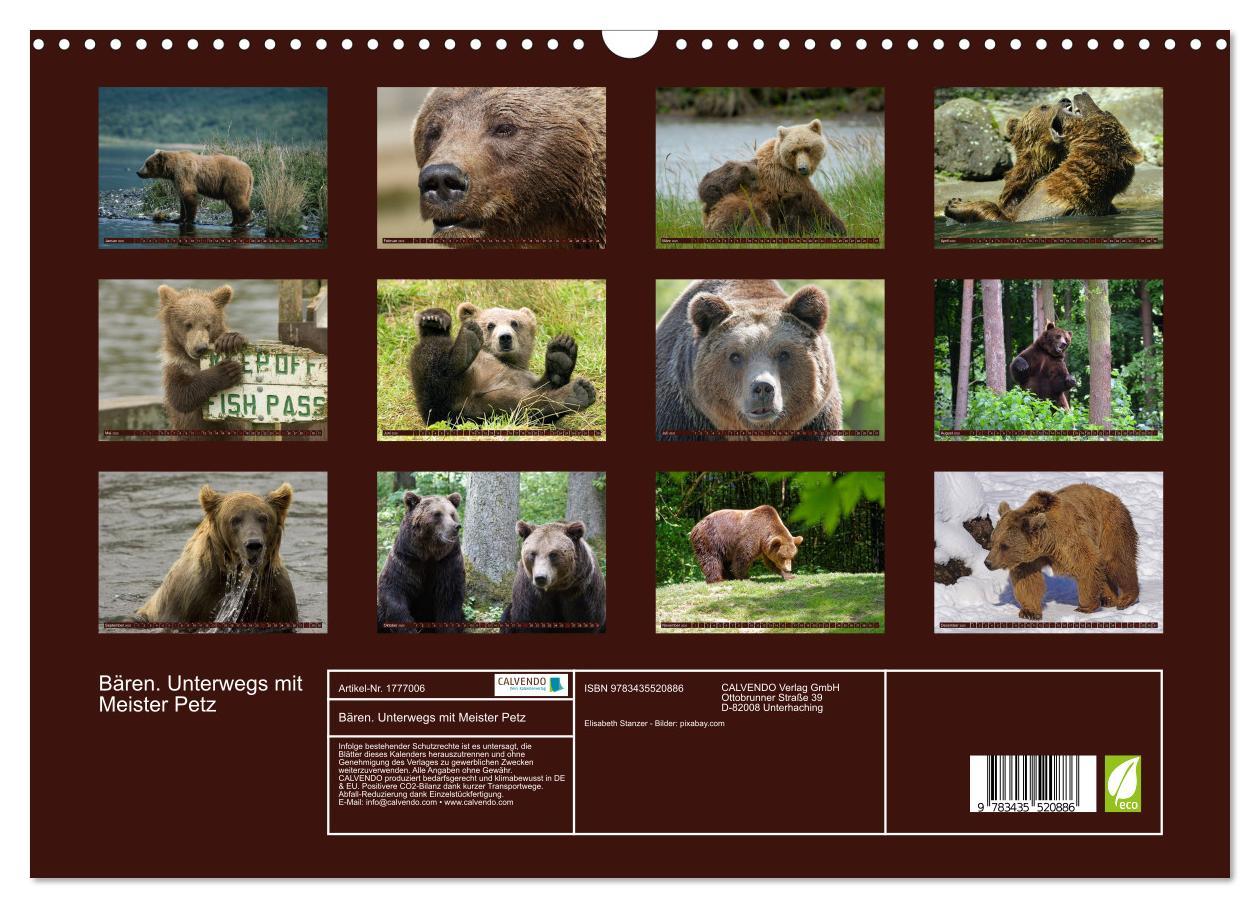 Bild: 9783435520886 | Bären. Unterwegs mit Meister Petz (Wandkalender 2025 DIN A3 quer),...