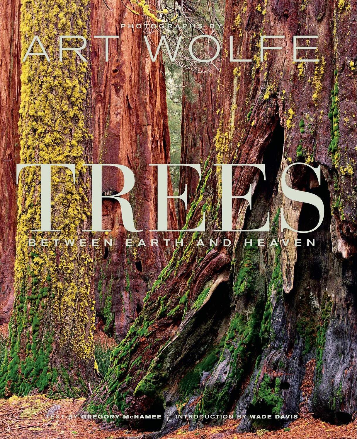 Cover: 9781683830825 | Trees | Between Heaven and Earth | Art Wolfe (u. a.) | Buch | 2018