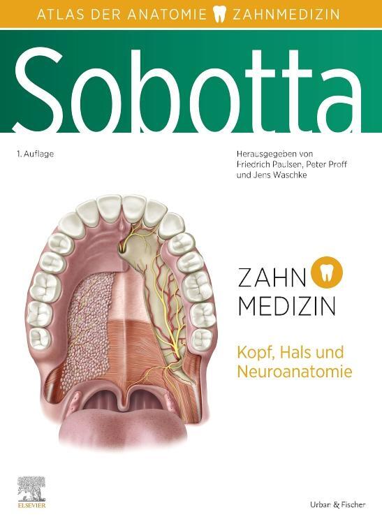Cover: 9783437441219 | Sobotta Atlas der Anatomie für Zahnmedizin | Friedrich Paulsen (u. a.)