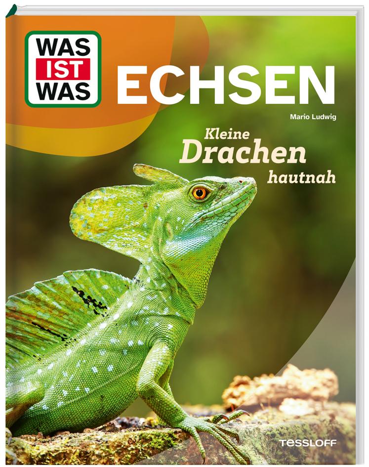 Cover: 9783788681821 | WAS IST WAS Echsen. Kleine Drachen hautnah | Mario Ludwig | Buch