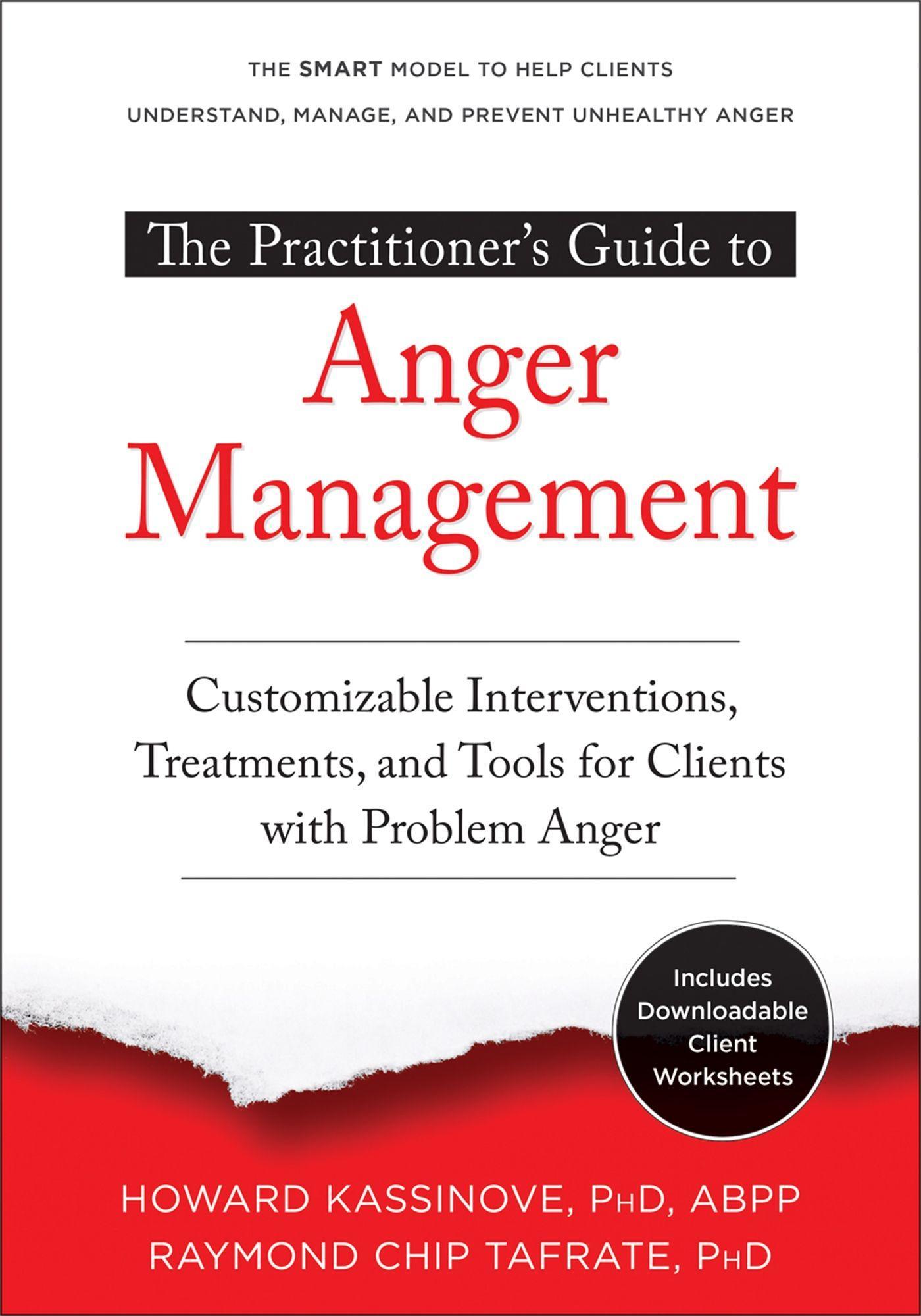 Cover: 9781684032860 | The Practitioner's Guide to Anger Management | Kassinove (u. a.)