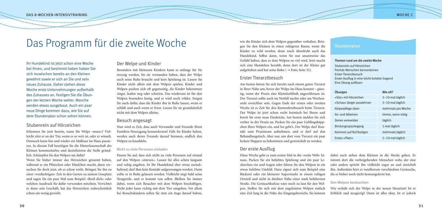 Bild: 9783833811715 | Welpen-Erziehung | Katharina Schlegl-Kofler | Taschenbuch | 168 S.