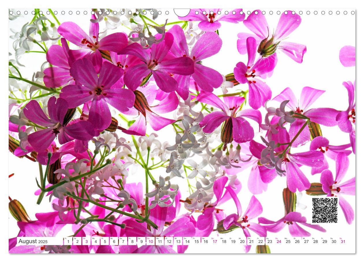 Bild: 9783435029716 | Blumen und dufte Musik (Wandkalender 2025 DIN A3 quer), CALVENDO...