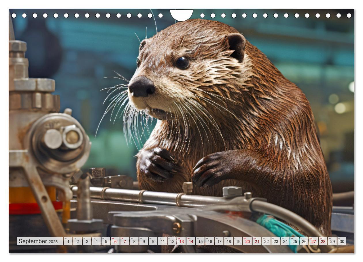 Bild: 9783383858178 | Otter bei der Arbeit (Wandkalender 2025 DIN A4 quer), CALVENDO...