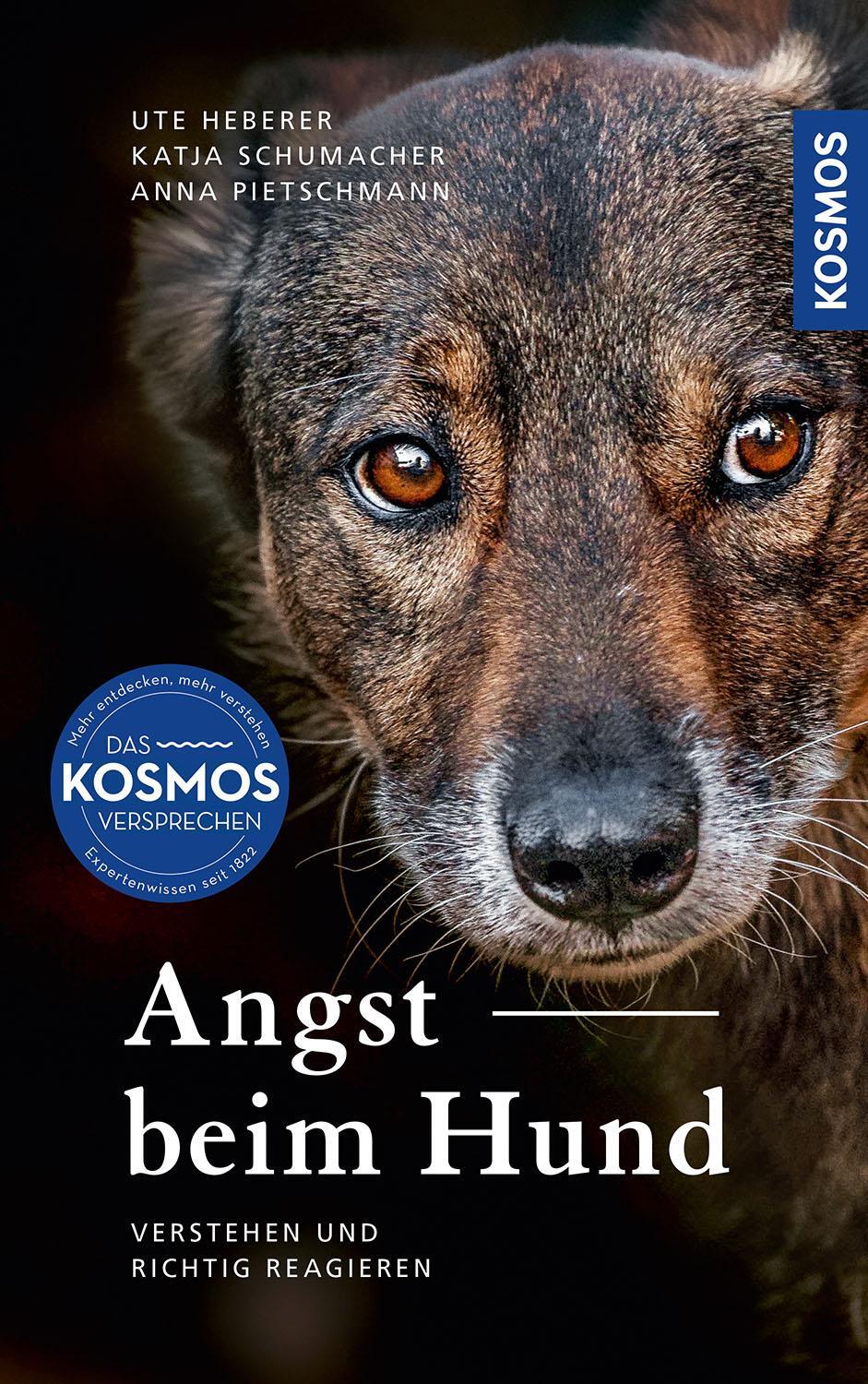 Cover: 9783440163009 | Angst beim Hund | Erkennen, verstehen und richtig reagieren | Buch