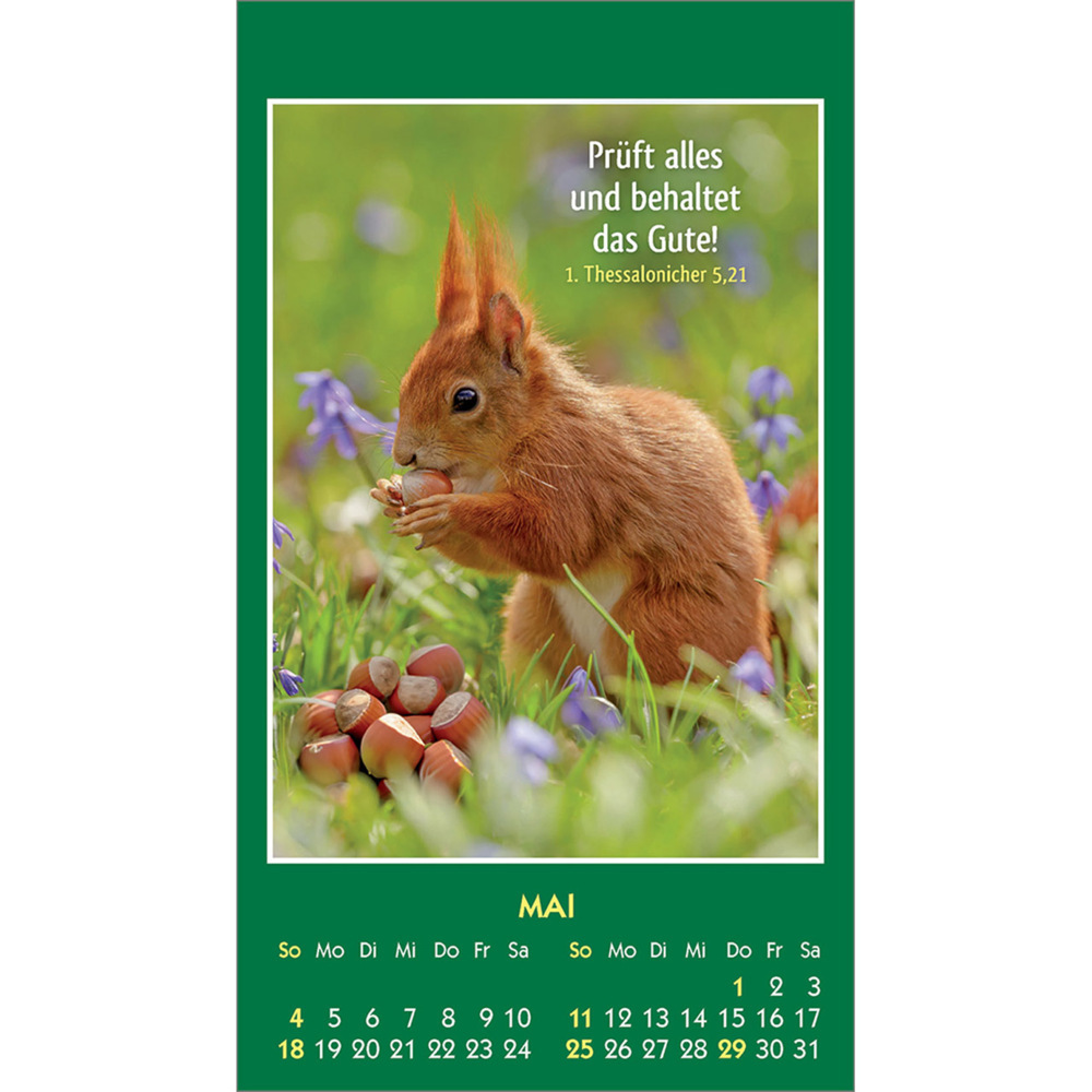 Bild: 9783754893555 | Hallo Du 2025 | Mini-Aufkleber-Kalender | Kalender | 14 S. | Deutsch