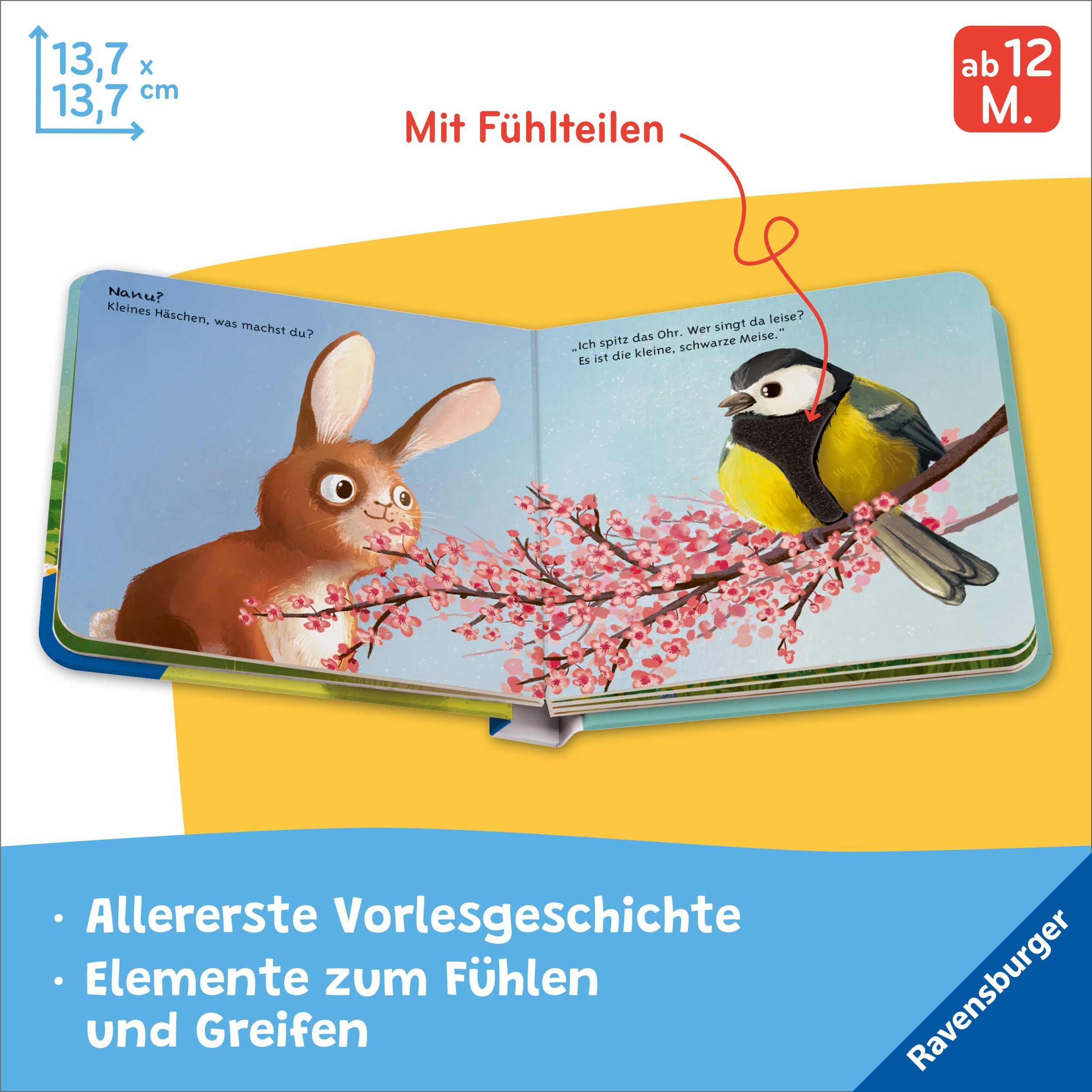 Bild: 9783473420698 | Mein liebstes Vorlese-Fühlbuch - Der kleine Hase | Maria Höck | Buch