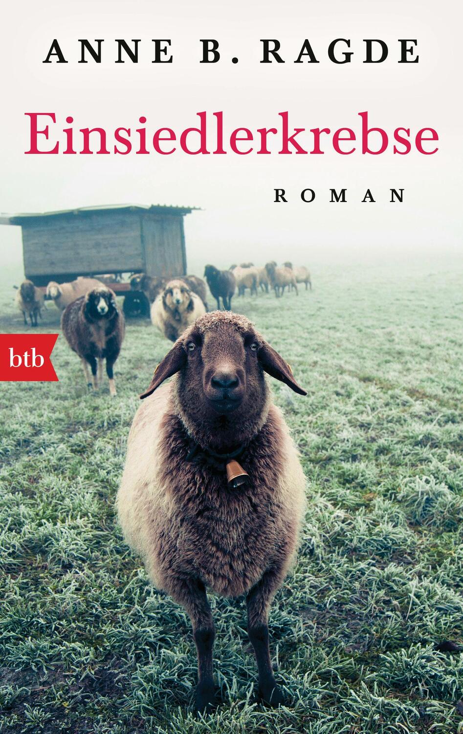 Cover: 9783442715725 | Einsiedlerkrebse | Anne B. Ragde | Taschenbuch | Die Lügenhaus-Serie