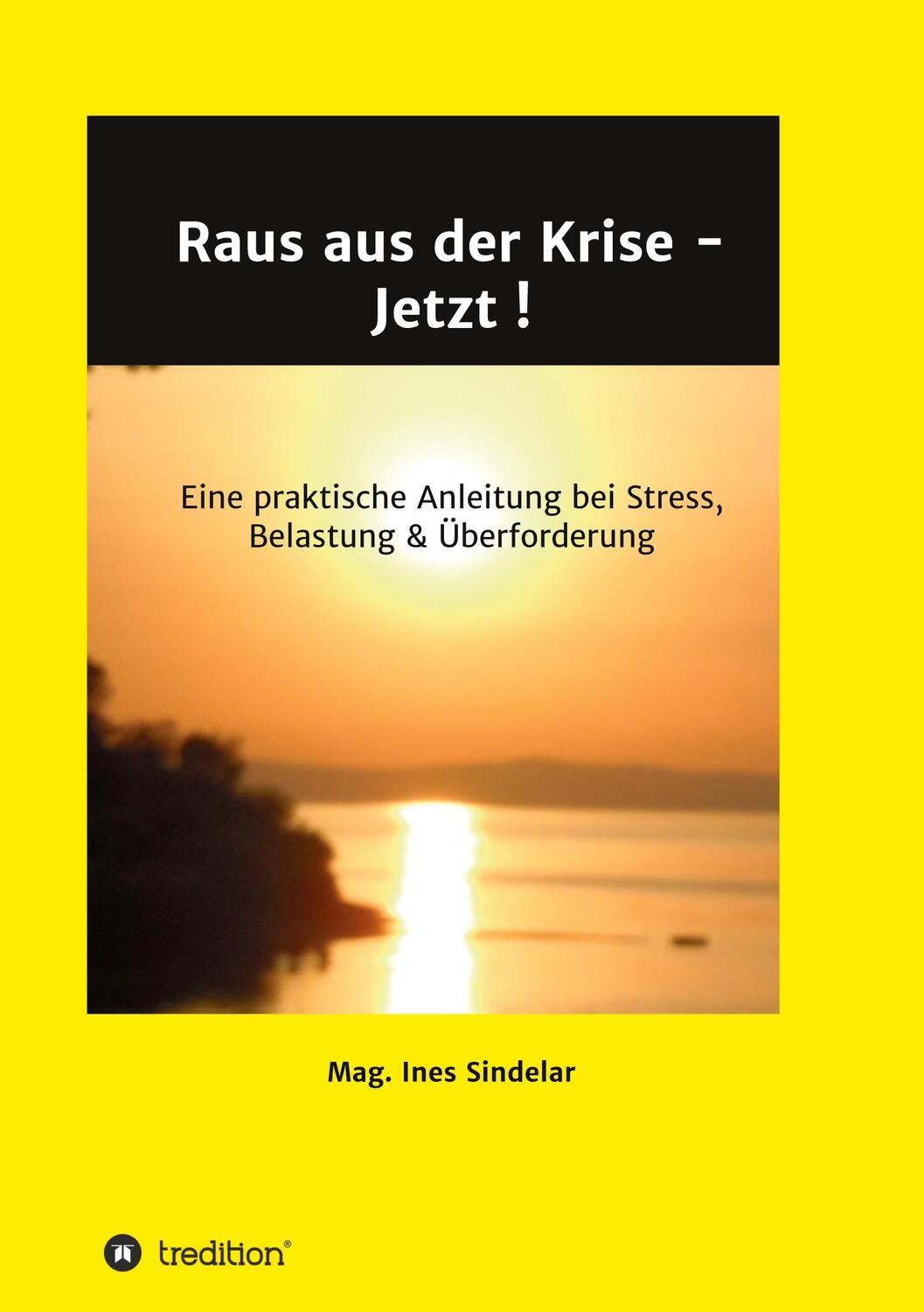 Cover: 9783347119376 | Raus aus der Krise - Jetzt ! | Ines Sindelar | Taschenbuch | Paperback