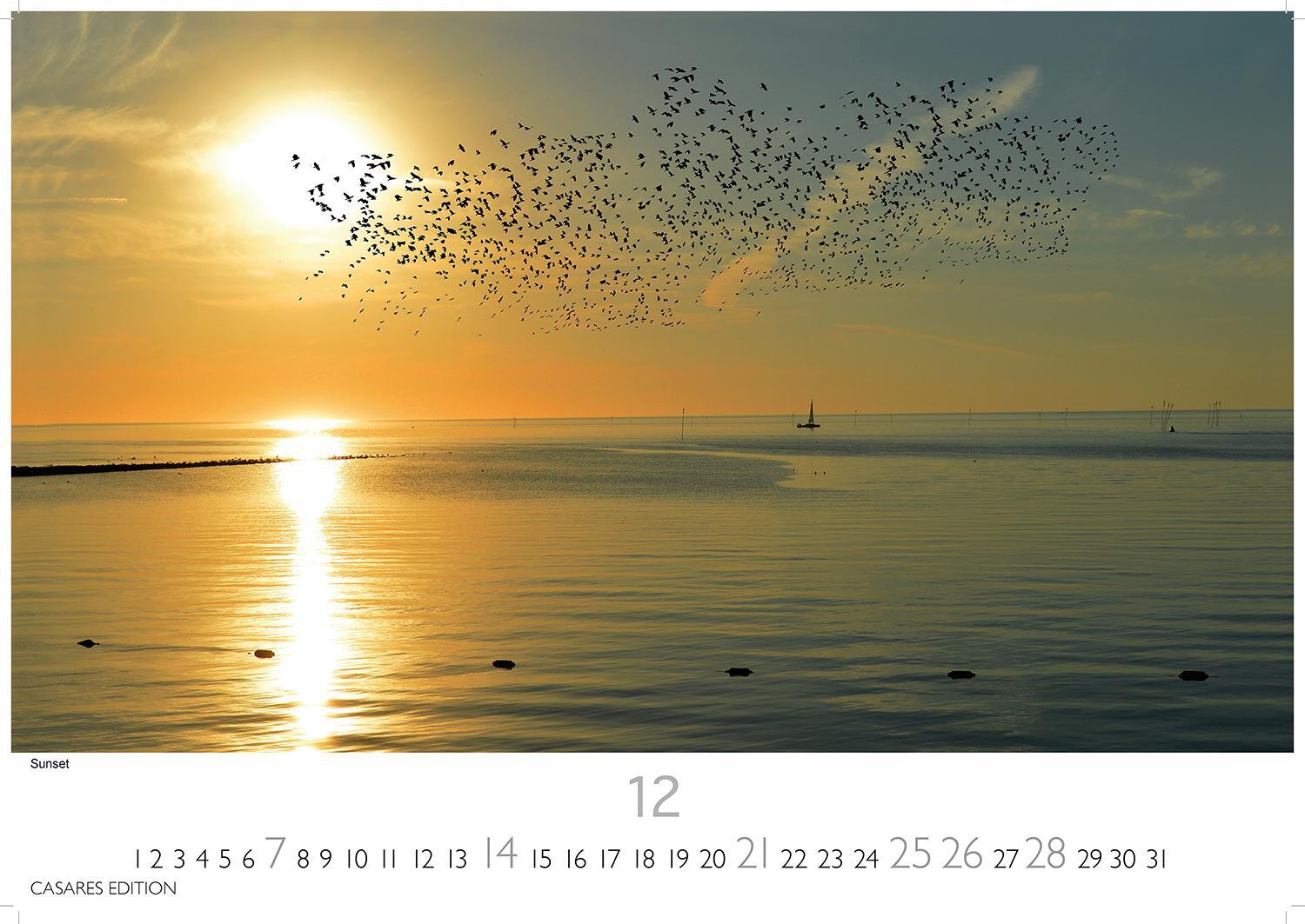 Bild: 9781835242926 | Nordseeküste 2025 L 35x50cm | Kalender | 14 S. | Deutsch | 2025