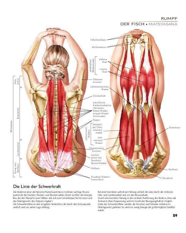 Bild: 9783966643849 | YOGA - Atlas der Anatomie | Svenja Tengs | Buch | 256 S. | Deutsch