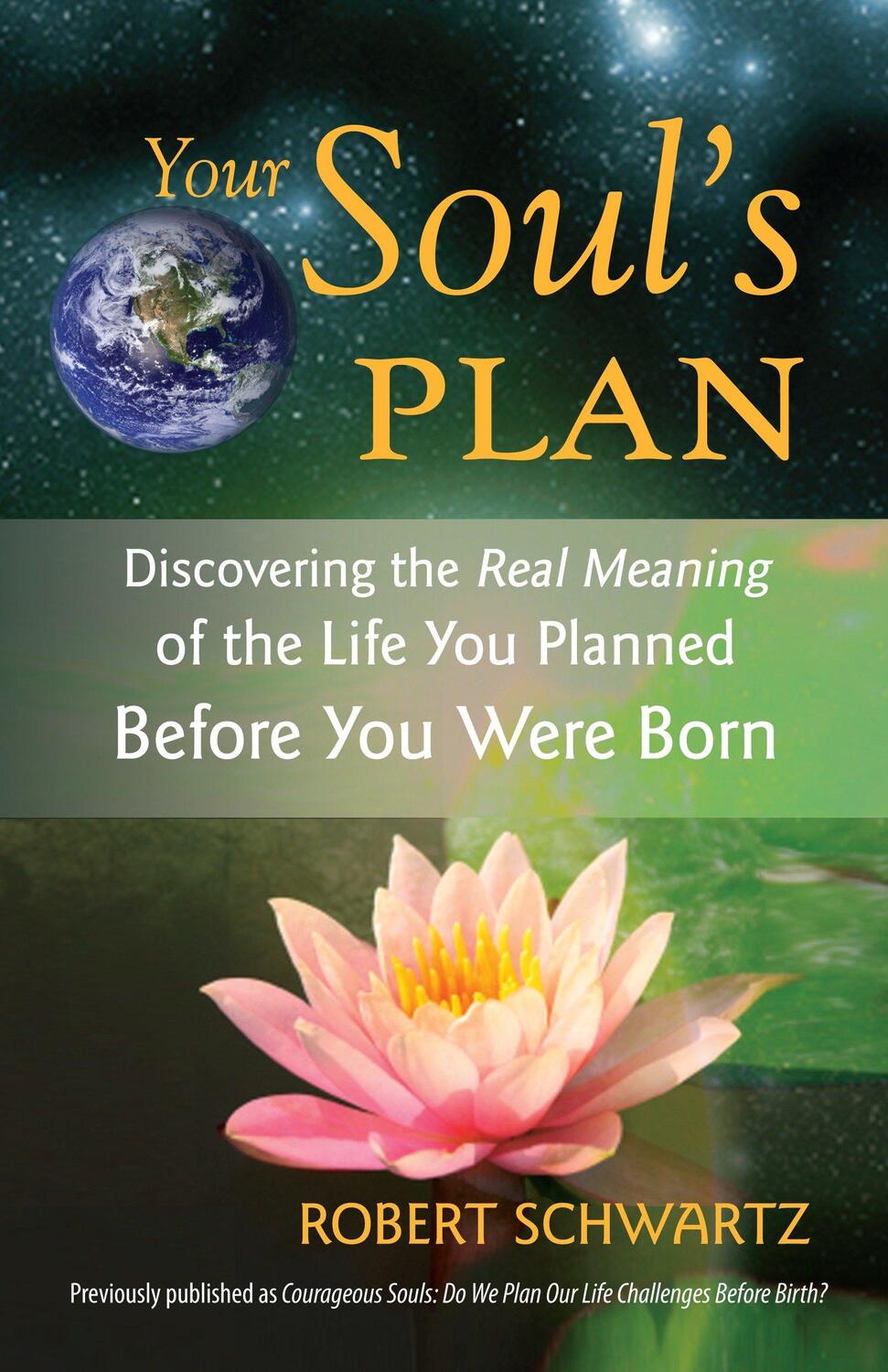 Cover: 9781583942727 | Your Soul's Plan | Robert Schwartz | Taschenbuch | Englisch | 2009