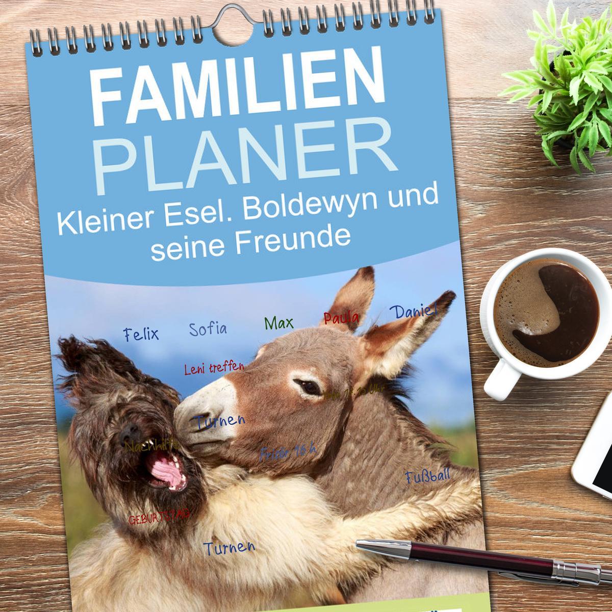 Bild: 9783457109519 | Familienplaner 2025 - Kleiner Esel. Boldewyn und seine Freunde mit...