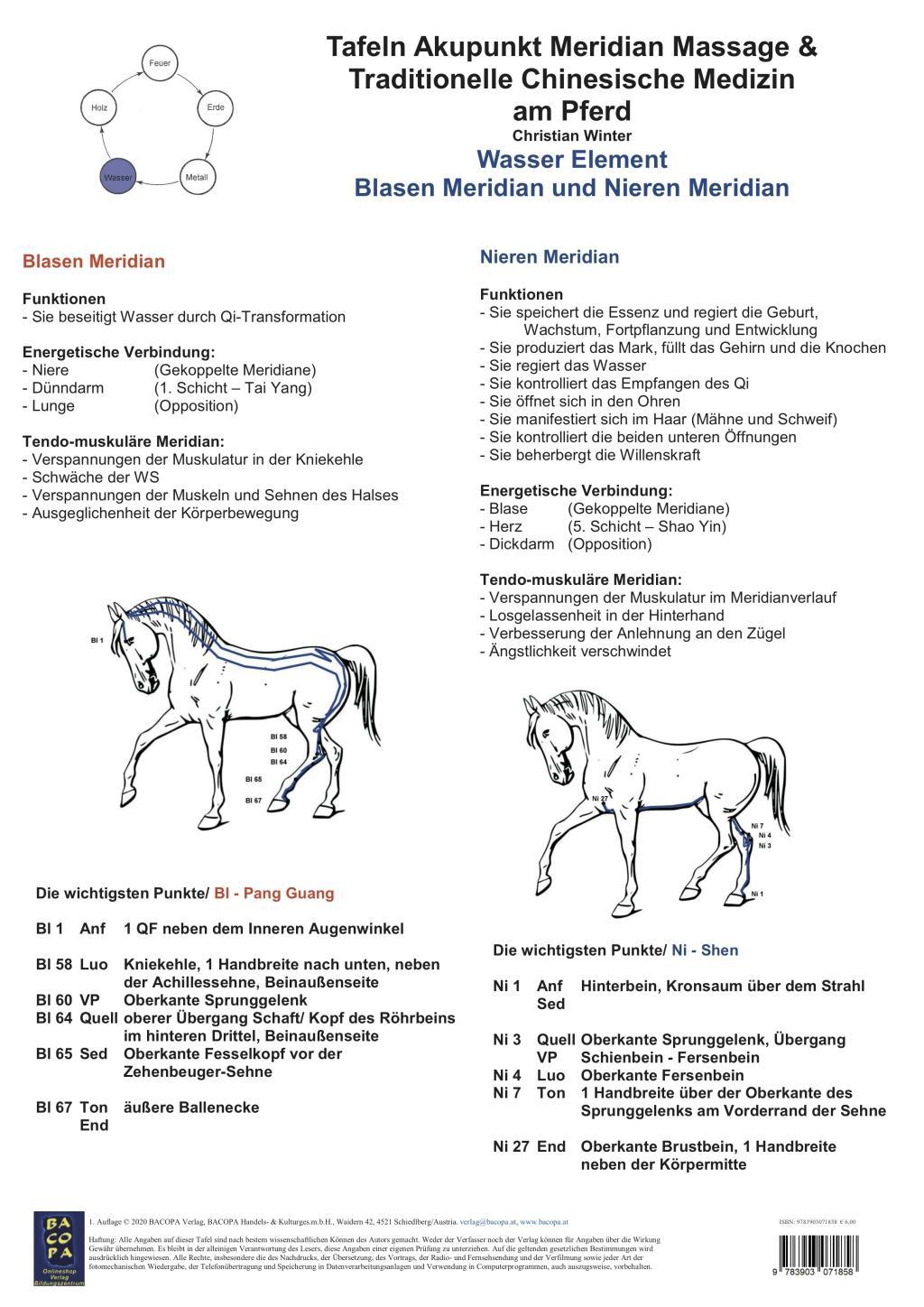 Cover: 9783903071858 | Wasser Element - Blasen Meridian und Nieren Meridian | Winter | 1 S.