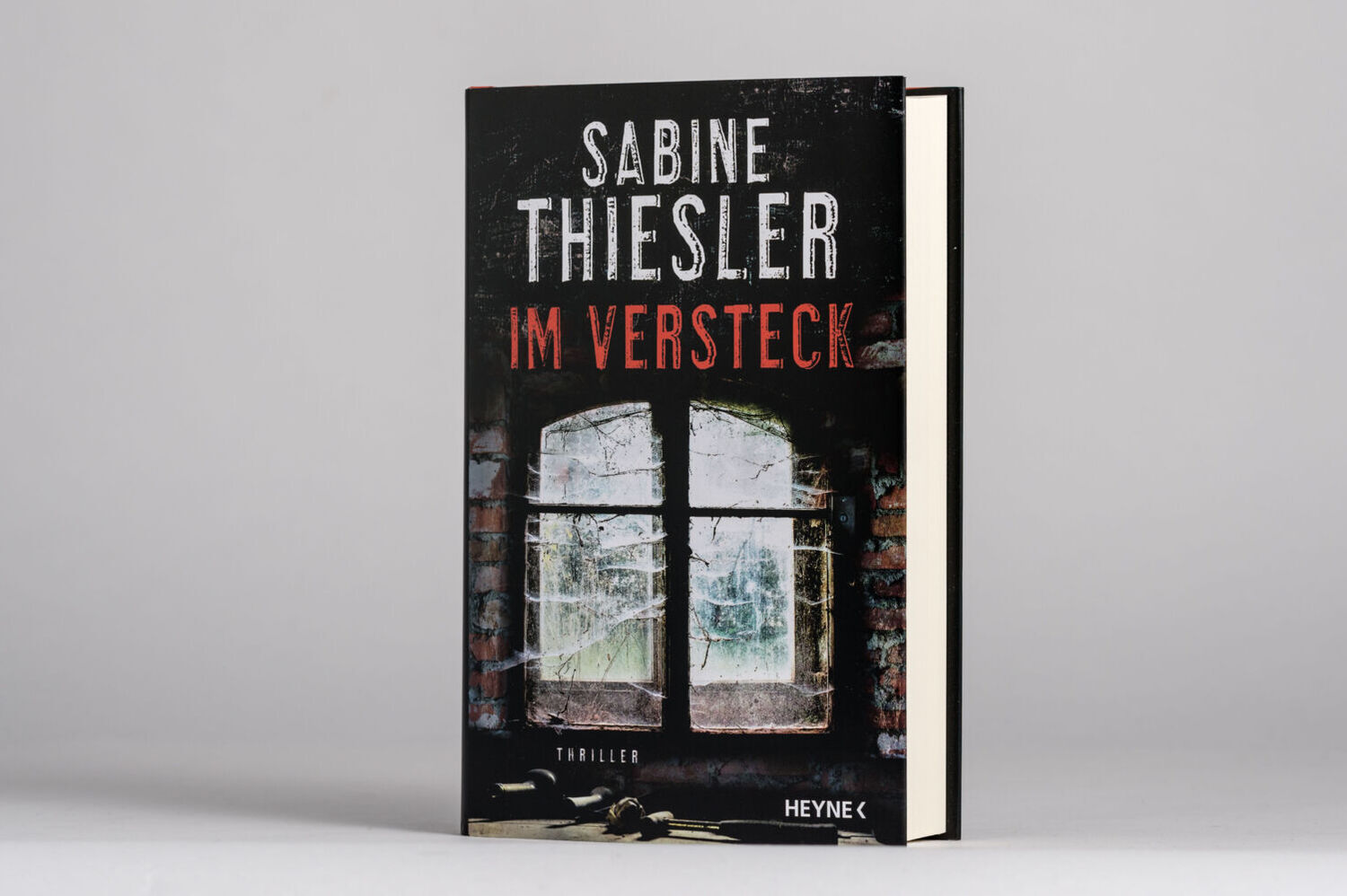 Bild: 9783453272903 | Im Versteck | Thriller | Sabine Thiesler | Buch | 592 S. | Deutsch