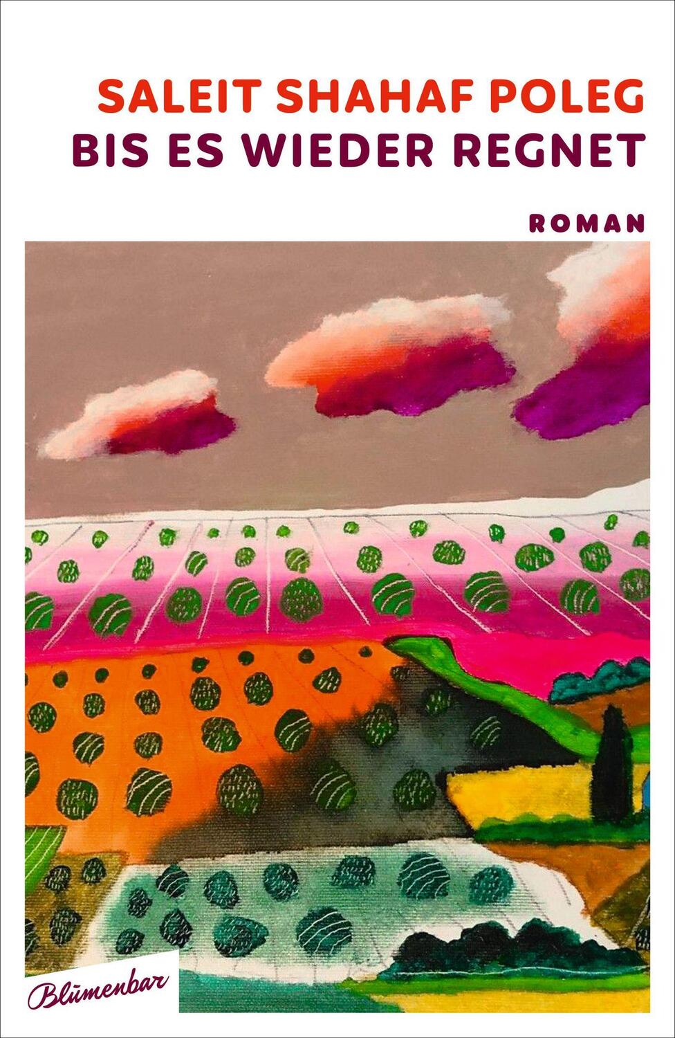 Cover: 9783351051181 | Bis es wieder regnet | Roman | Saleit Shahaf Poleg | Buch | 304 S.