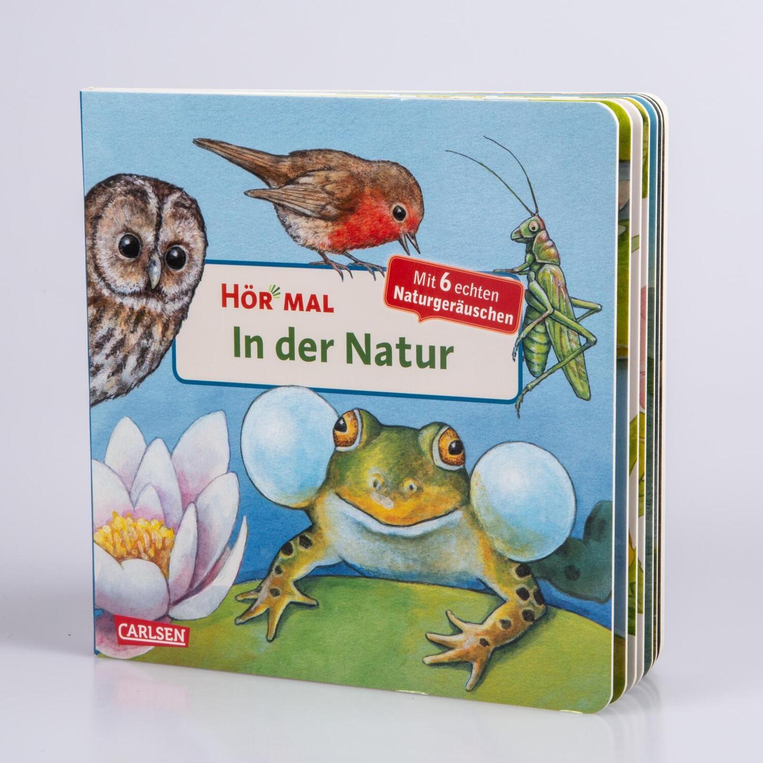 Bild: 9783551250049 | Hör mal (Soundbuch): In der Natur | Anne Möller | Buch | 16 S. | 2010