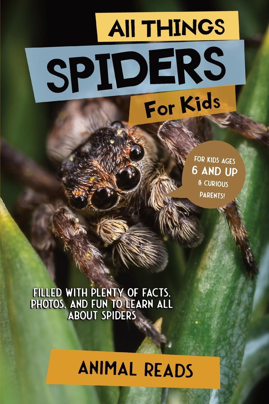 Cover: 9783967721171 | All Things Spiders For Kids | Animal Reads | Taschenbuch | Englisch