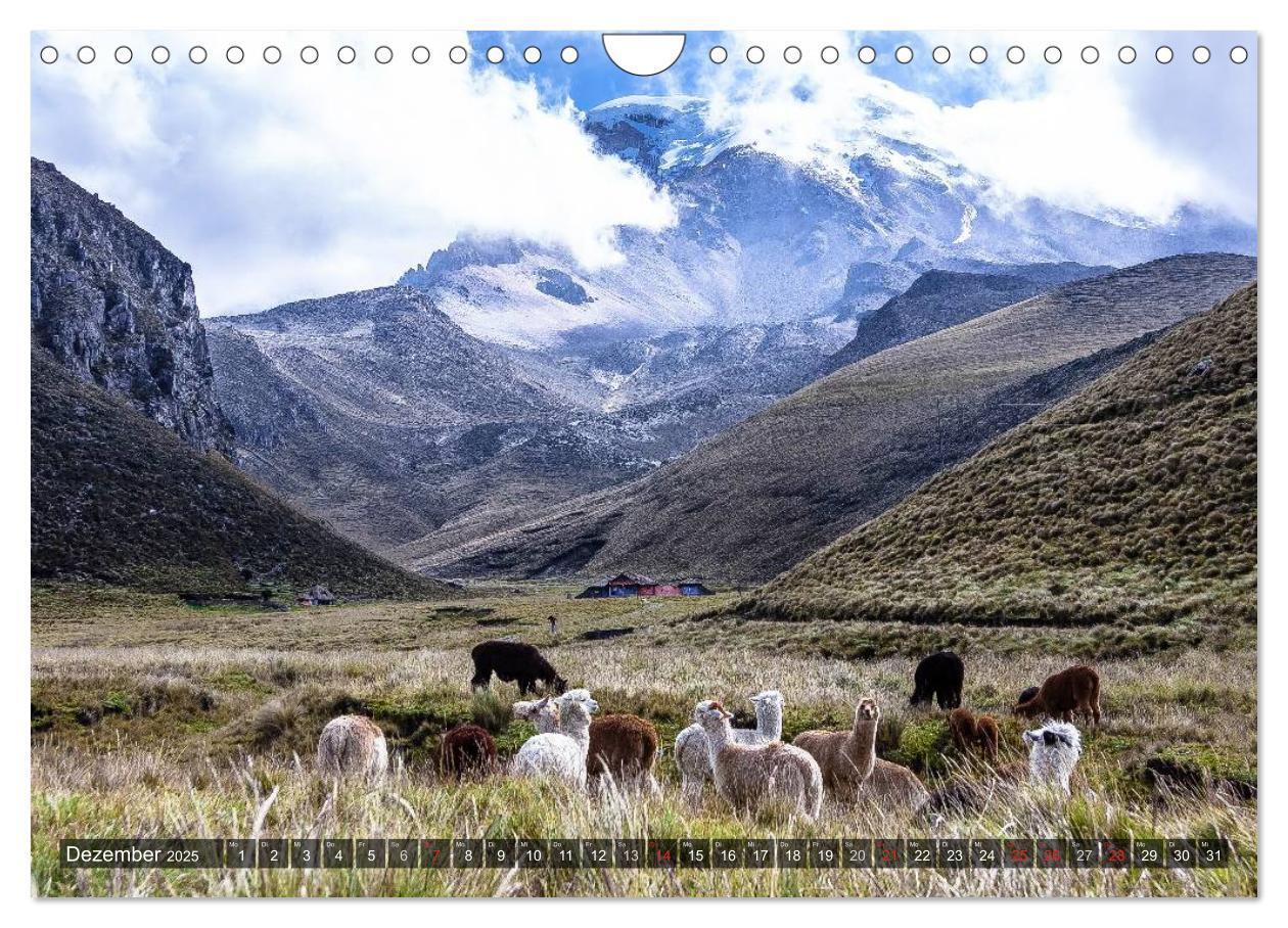 Bild: 9783435637102 | Ecuador 2025 Zwischen Hochland und Küste (Wandkalender 2025 DIN A4...