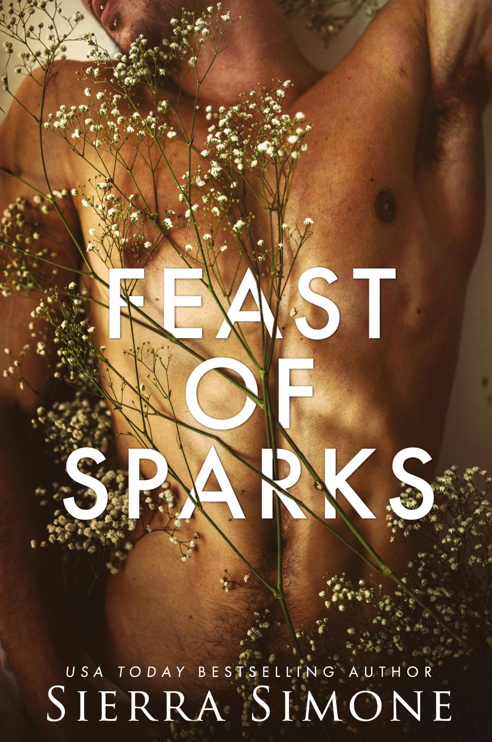 Cover: 9781949364026 | Feast of Sparks | Sierra Simone | Taschenbuch | Englisch | 2019