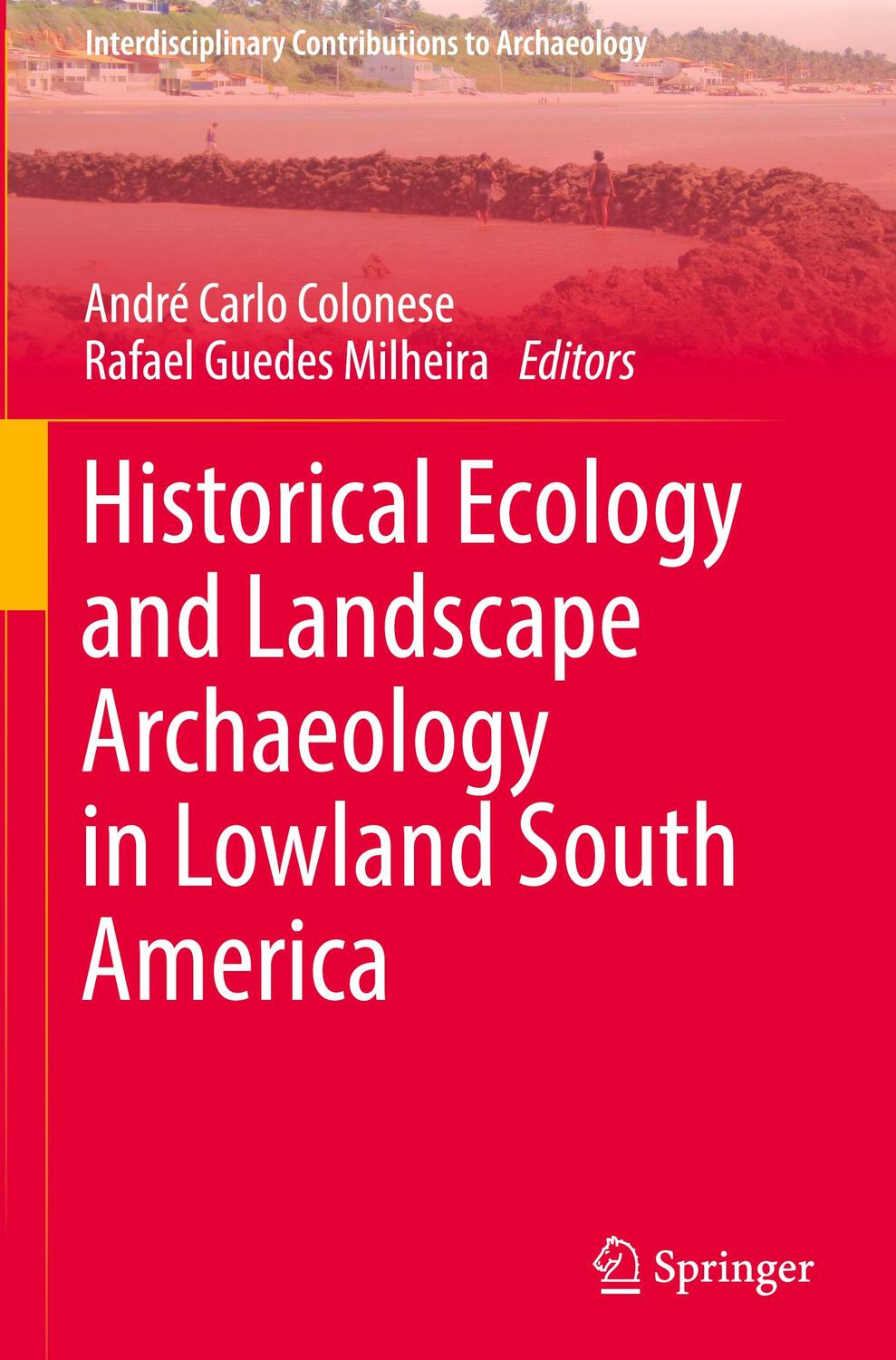 Cover: 9783031322839 | Historical Ecology and Landscape Archaeology in Lowland South America