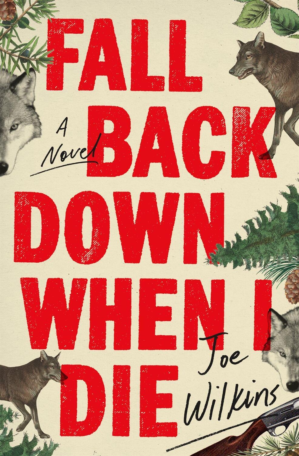 Cover: 9780316475341 | Fall Back Down When I Die | Joe Wilkins | Taschenbuch | 256 S. | 2020