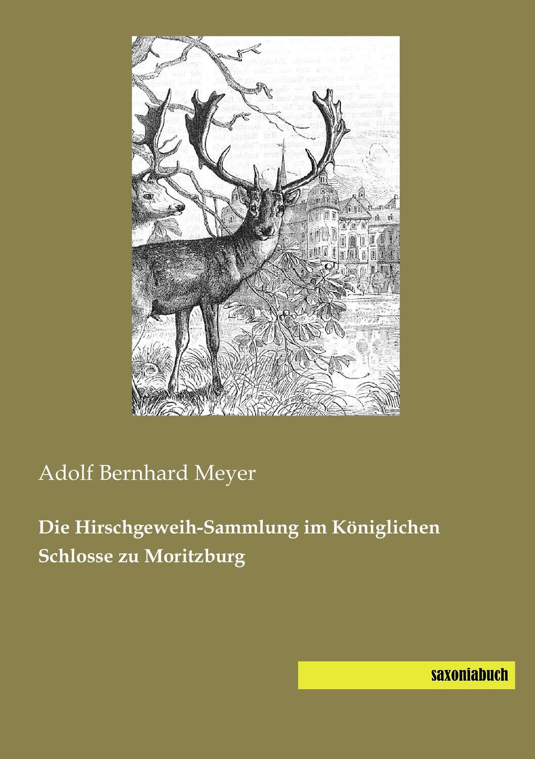 Cover: 9783944822204 | Die Hirschgeweih-Sammlung im Königlichen Schlosse zu Moritzburg | Buch