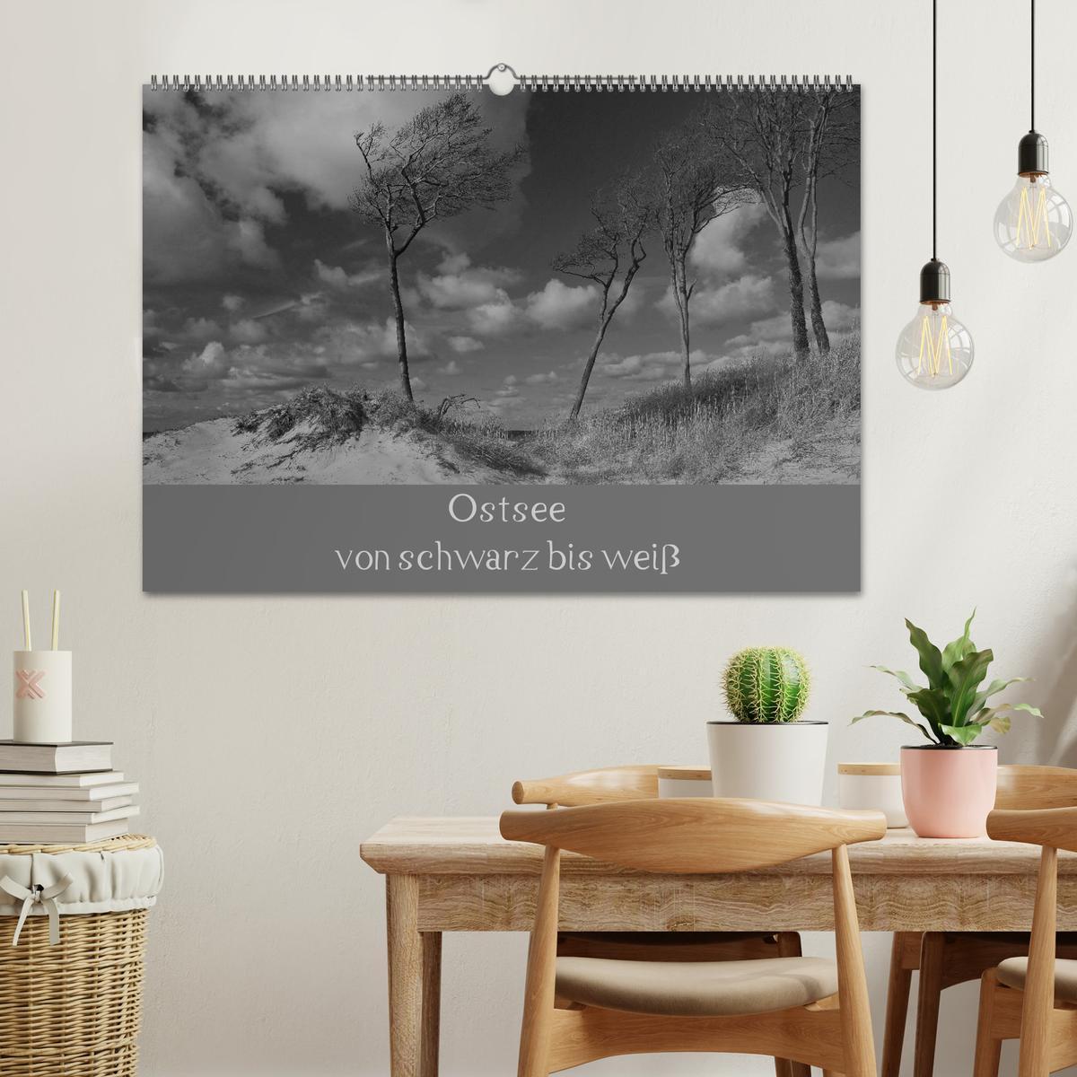 Bild: 9783435820764 | Ostsee - von schwarz bis weiß (Wandkalender 2025 DIN A2 quer),...