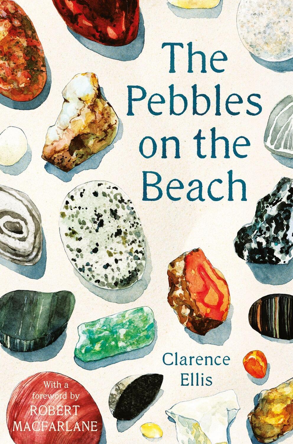 Cover: 9780571347933 | The Pebbles on the Beach | A Spotter's Guide | Clarence Ellis | Buch