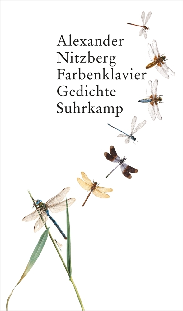 Cover: 9783518422779 | Farbenklavier | Gedichte | Alexander Nitzberg | Buch | 76 S. | Deutsch