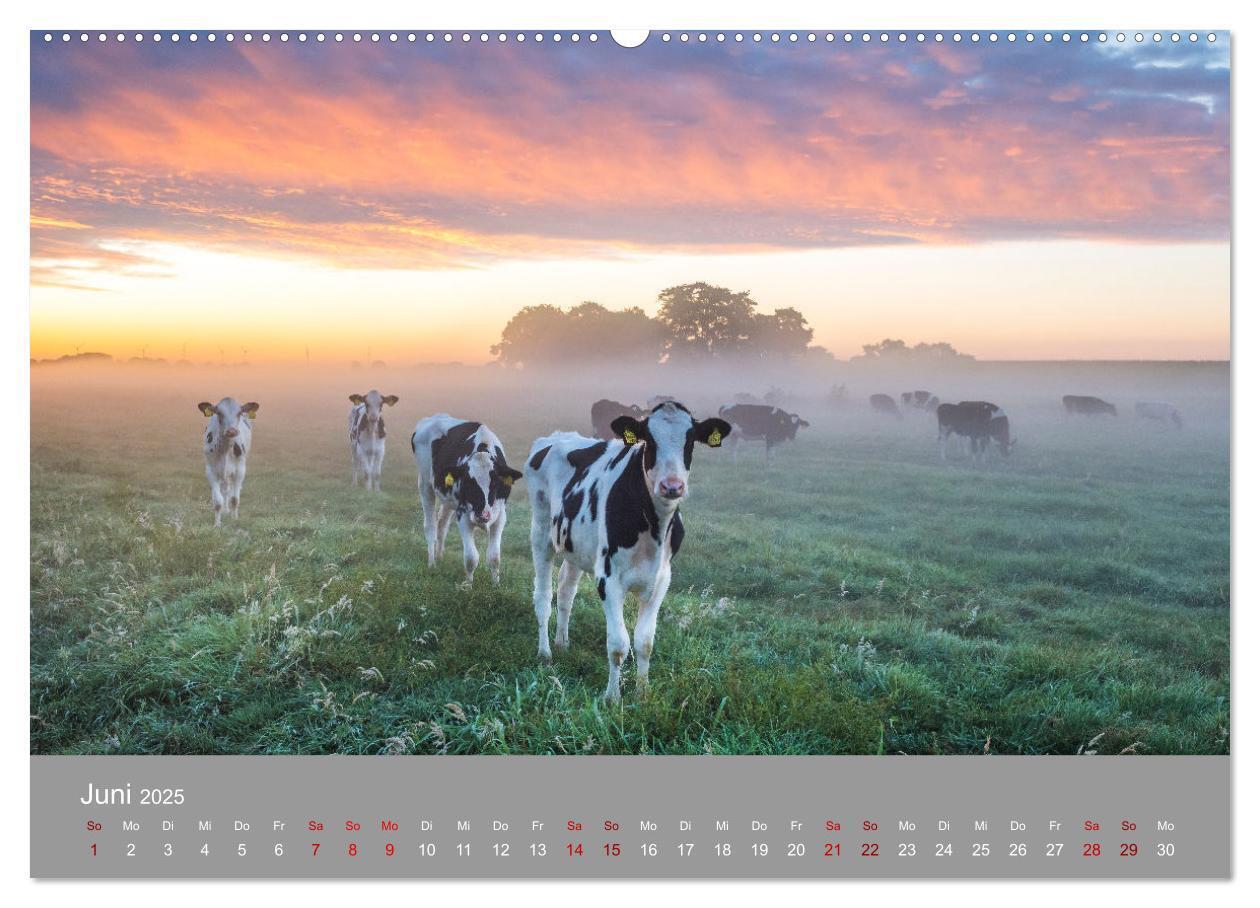 Bild: 9783435016259 | Ostfrieslandmomente 2025 (hochwertiger Premium Wandkalender 2025...