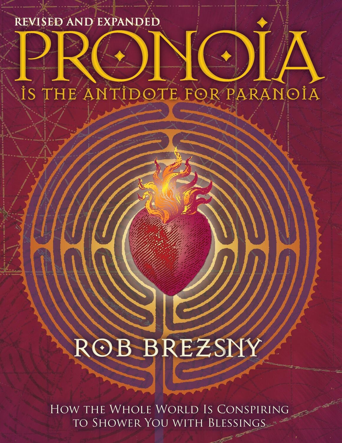 Cover: 9781556438189 | Pronoia Is the Antidote for Paranoia, Revised and Expanded: How the...