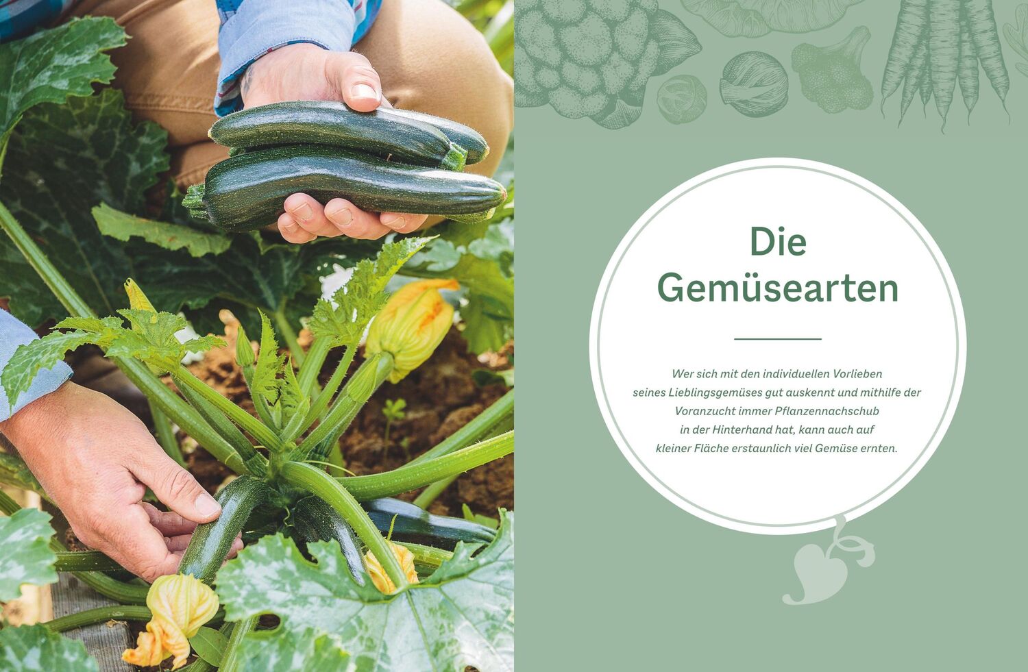 Bild: 9783967470659 | Der optimale Gemüsegarten | Jörn Pinske | Buch | 192 S. | Deutsch